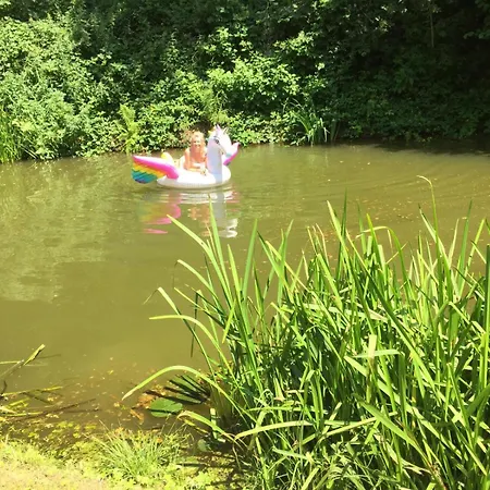 شاليه Wagenburg